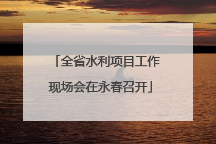 全省水利项目工作现场会在永春召开