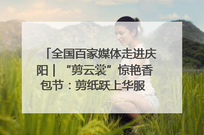 全国百家媒体走进庆阳｜“剪云裳”惊艳香包节：剪纸跃上华服 非遗焕发新彩