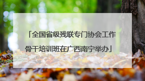 全国省级残联专门协会工作骨干培训班在广西南宁举办
