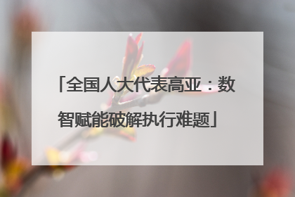 全国人大代表高亚：数智赋能破解执行难题