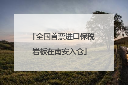 全国首票进口保税岩板在南安入仓