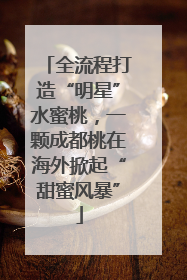 全流程打造“明星”水蜜桃，一颗成都桃在海外掀起“甜蜜风暴”
