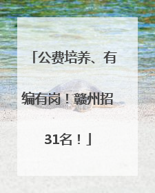 公费培养、有编有岗！赣州招31名！