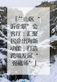 兰山区“沂企联”会客厅：汇聚民企出海新动能，打造跨境发展“强磁场”