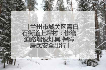 兰州市城关区青白石街道上坪村：修缮道路增设灯具 保障居民安全出行