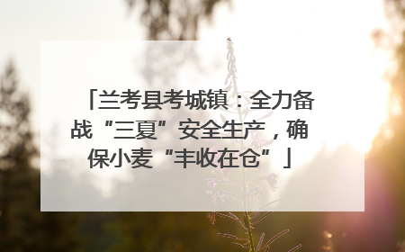 兰考县考城镇：全力备战“三夏”安全生产，确保小麦“丰收在仓”