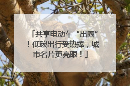 共享电动车“出圈”！低碳出行受热捧，城市名片更亮眼！