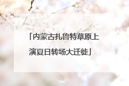 内蒙古扎鲁特草原上演夏日转场大迁徙