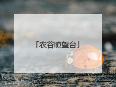 农谷瞭望台