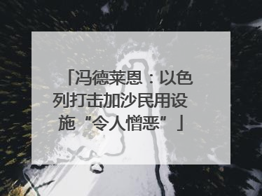 冯德莱恩：以色列打击加沙民用设施“令人憎恶”