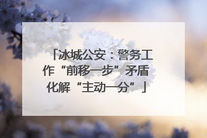冰城公安：警务工作“前移一步”矛盾化解“主动一分”