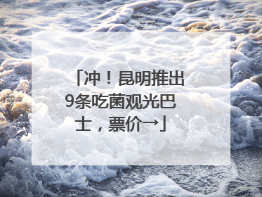 冲！昆明推出9条吃菌观光巴士，票价→