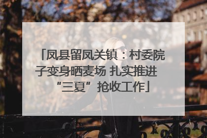 凤县留凤关镇：村委院子变身晒麦场 扎实推进“三夏”抢收工作