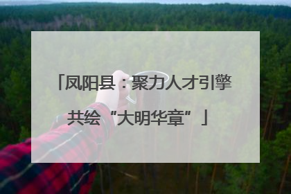 凤阳县：聚力人才引擎 共绘“大明华章”