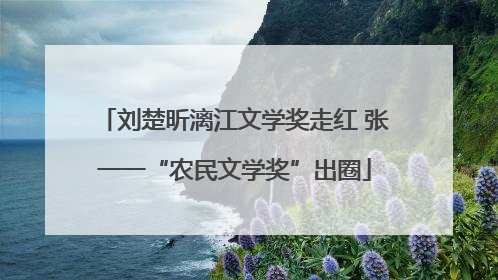 刘楚昕漓江文学奖走红 张一一“农民文学奖”出圈