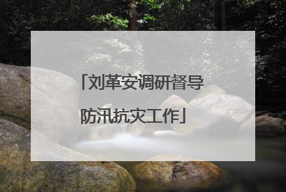 刘革安调研督导防汛抗灾工作
