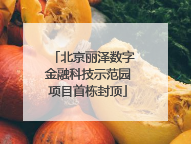 北京丽泽数字金融科技示范园项目首栋封顶