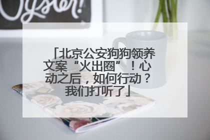 北京公安狗狗领养文案“火出圈”！心动之后，如何行动？我们打听了