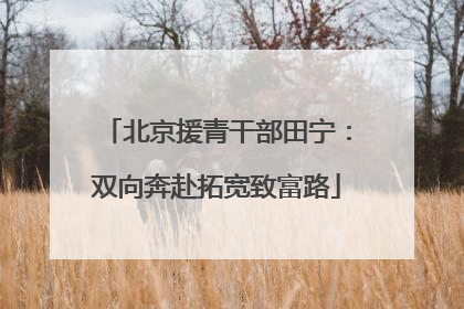北京援青干部田宁：双向奔赴拓宽致富路