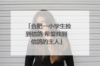 合肥一小学生捡到信鸽 希望找到信鸽的主人