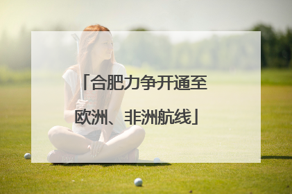 合肥力争开通至欧洲、非洲航线