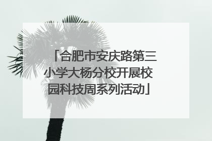 合肥市安庆路第三小学大杨分校开展校园科技周系列活动