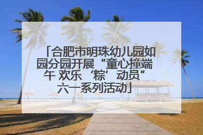 合肥市明珠幼儿园如园分园开展“童心撞端午 欢乐‘粽’动员”六一系列活动