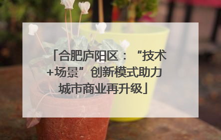 合肥庐阳区：“技术+场景”创新模式助力城市商业再升级