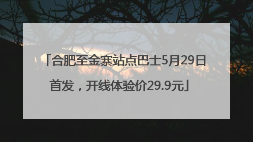 合肥至金寨站点巴士5月29日首发，开线体验价29.9元