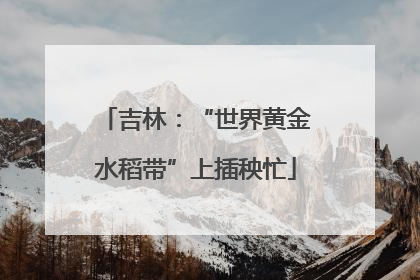 吉林：“世界黄金水稻带”上插秧忙