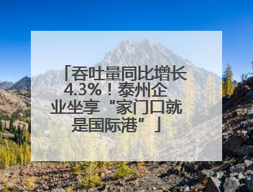 吞吐量同比增长4.3%！泰州企业坐享“家门口就是国际港”