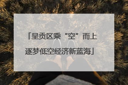 呈贡区乘“空”而上 逐梦低空经济新蓝海