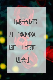 咸宁市召开“双回双创”工作推进会