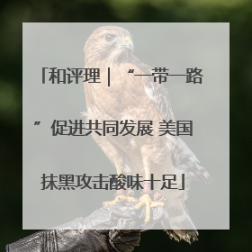 和评理｜“一带一路”促进共同发展 美国抹黑攻击酸味十足