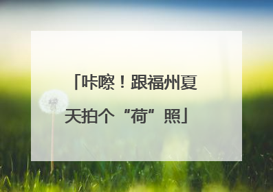 咔嚓！跟福州夏天拍个“荷”照