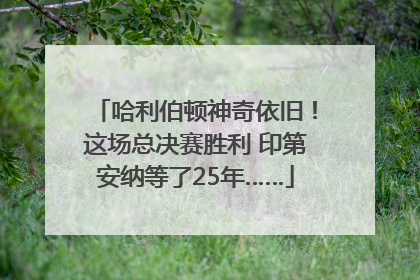 哈利伯顿神奇依旧！这场总决赛胜利 印第安纳等了25年……