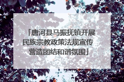 唐河县马振抚镇开展民族宗教政策法规宣传 营造团结和谐氛围