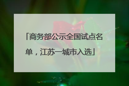 商务部公示全国试点名单，江苏一城市入选