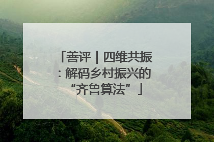 善评｜四维共振：解码乡村振兴的“齐鲁算法”