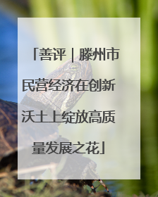 善评｜滕州市民营经济在创新沃土上绽放高质量发展之花