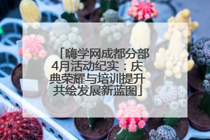 嗨学网成都分部4月活动纪实：庆典荣耀与培训提升共绘发展新蓝图