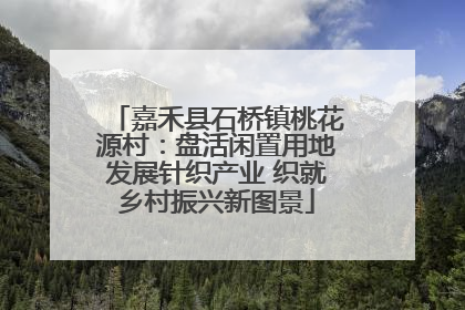 嘉禾县石桥镇桃花源村：盘活闲置用地发展针织产业 织就乡村振兴新图景