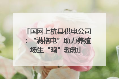 国网上杭县供电公司：“满格电”助力养殖场生“鸡”勃勃