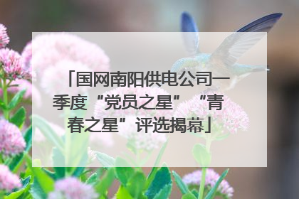 国网南阳供电公司一季度“党员之星”“青春之星”评选揭幕