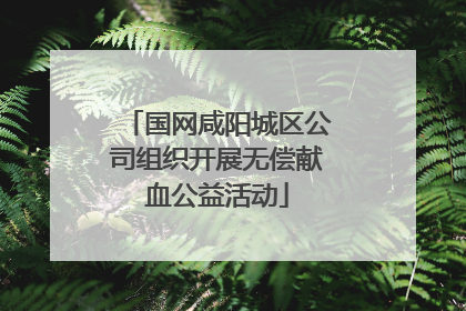 国网咸阳城区公司组织开展无偿献血公益活动