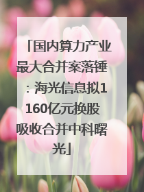国内算力产业最大合并案落锤：海光信息拟1160亿元换股吸收合并中科曙光