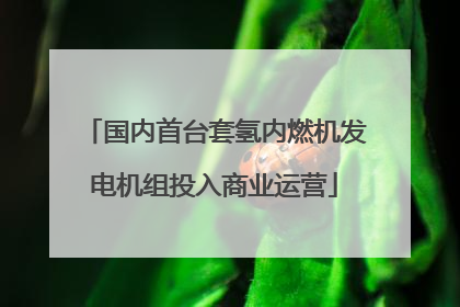 国内首台套氢内燃机发电机组投入商业运营