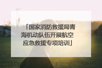 国家消防救援局青海机动队伍开展航空应急救援专项培训