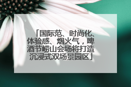 国际范、时尚化、体验感、烟火气，啤酒节崂山会场将打造沉浸式双场景园区