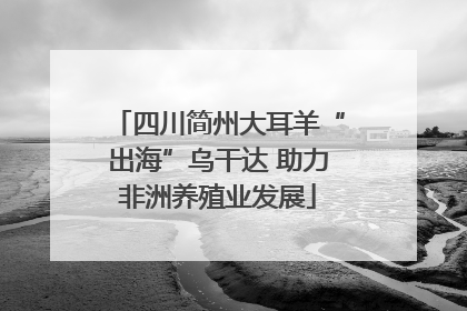 四川简州大耳羊“出海”乌干达 助力非洲养殖业发展